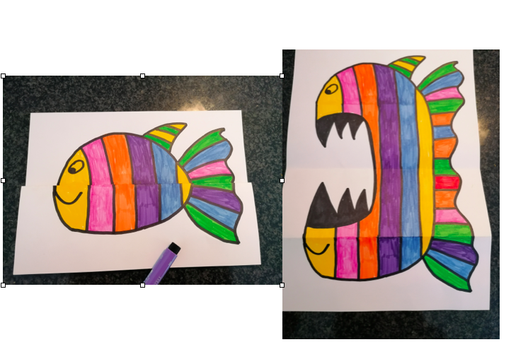 Capture d’écran 2020-03-31 à 10.16.58.png